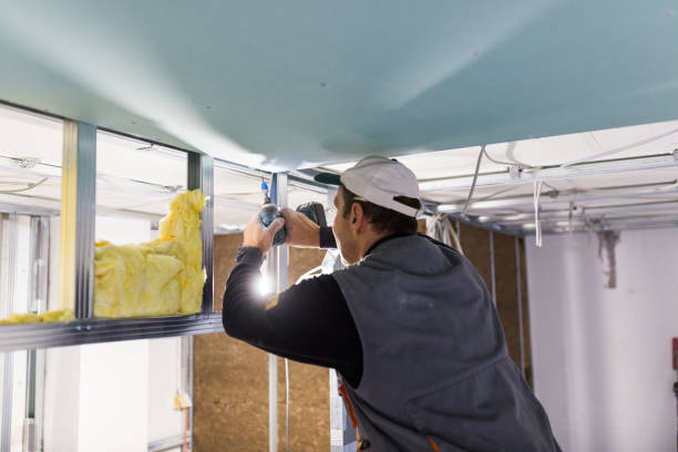 Best Types of Insulation in Portola, CA